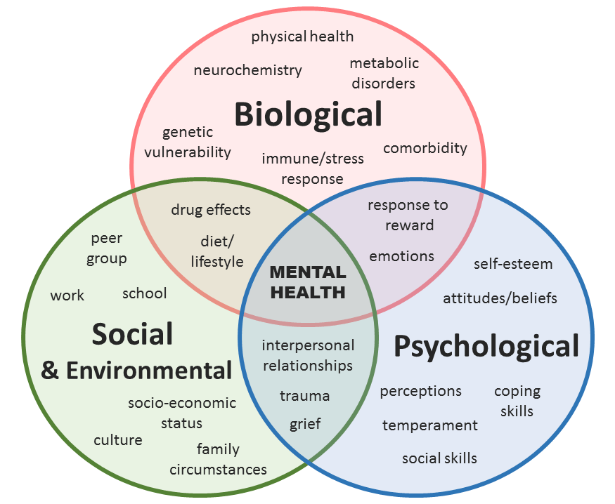 A venn diagram of the bio/psycho/social model of mental health